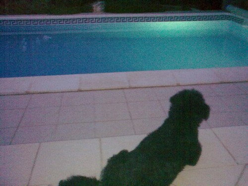 11082009040.jpg